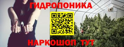 молекула духа Новозыбков